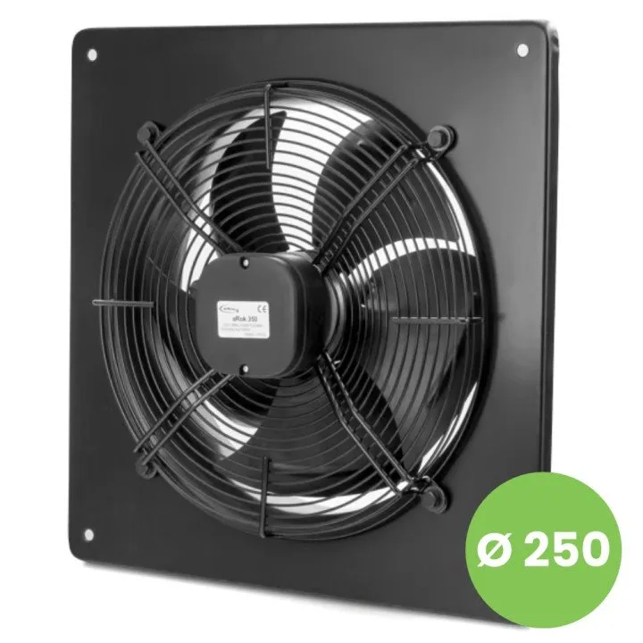 Hochleistungs-Wand-Industrie-Axialventilator 250 mm